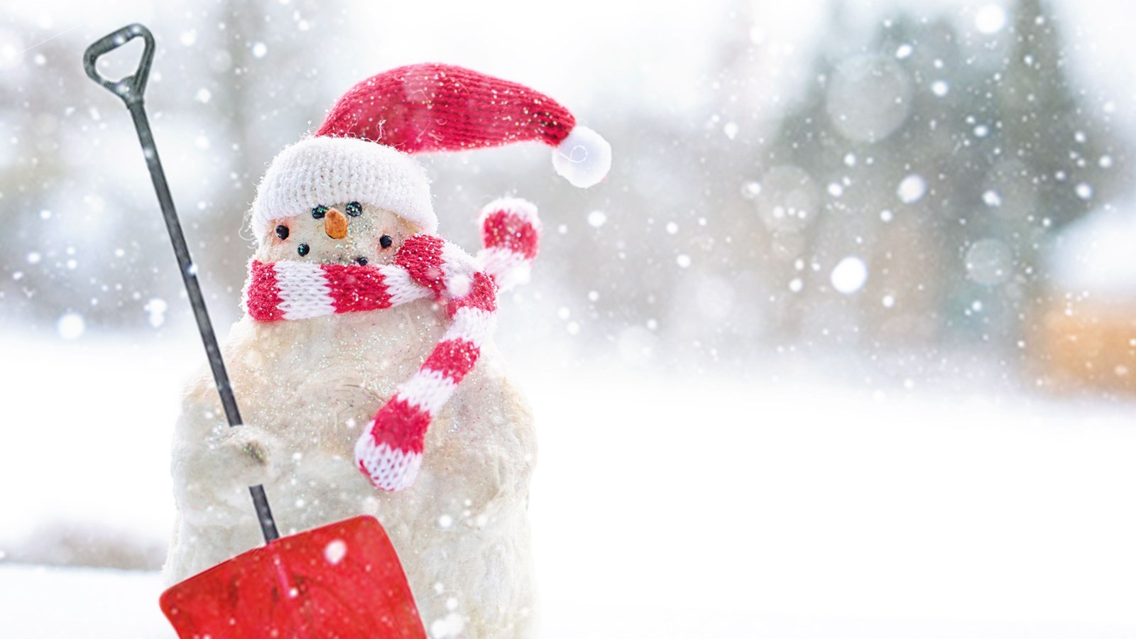 Students Giving Back